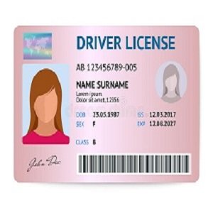 fake driver’s license online