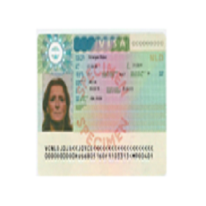 Schengen Visa online