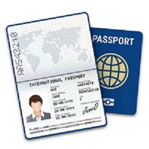 fake passport online